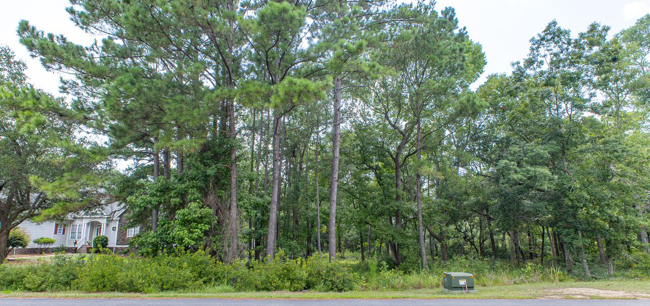 3324 Regal Isle (Lot available for custom build)